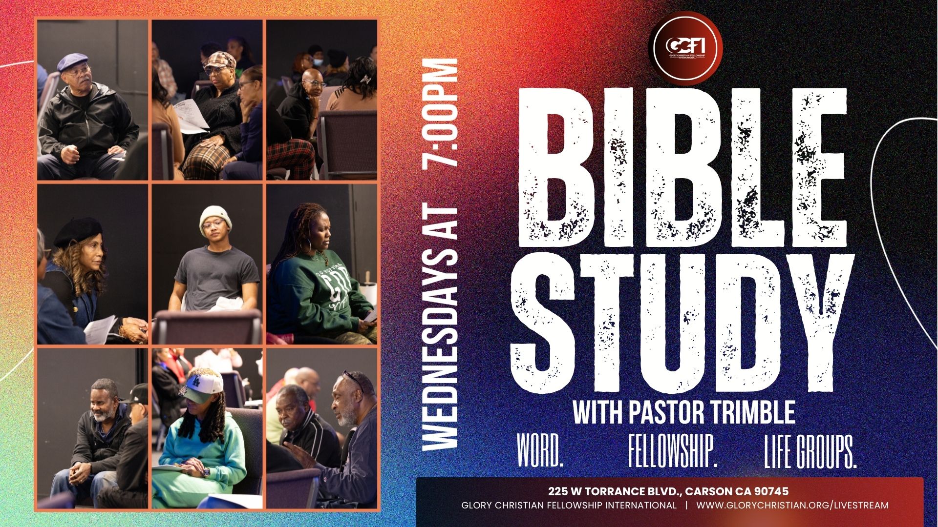 Bible Study & Life Groups